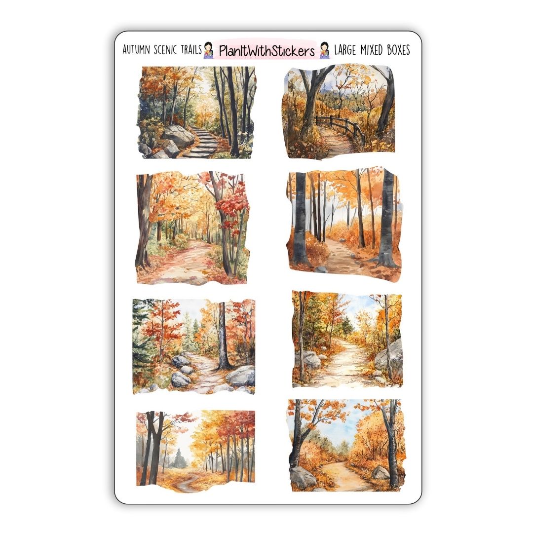 Autumn Scenic Trails – Large Mixed Boxes – Fall 2025 Collection