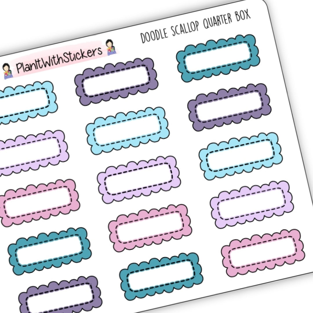 Doodle Scallop Quarter Box - Winter 2025