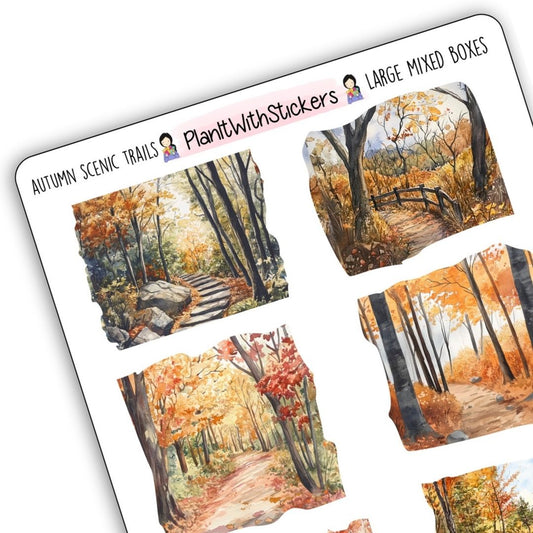 Autumn Scenic Trails – Large Mixed Boxes – Fall 2025 Collection