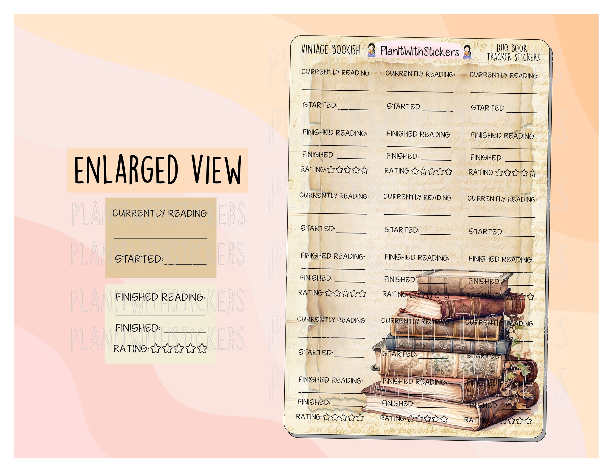 Vintage Library - Duo Book Reading Tracker Stickers