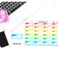 038 - RAINBOW Bill Due Pay Bill Planner Stickers for , Plum Paper, Recollections, and similar planners