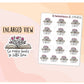 So Many Books, So Little Time Floral Book Sticker